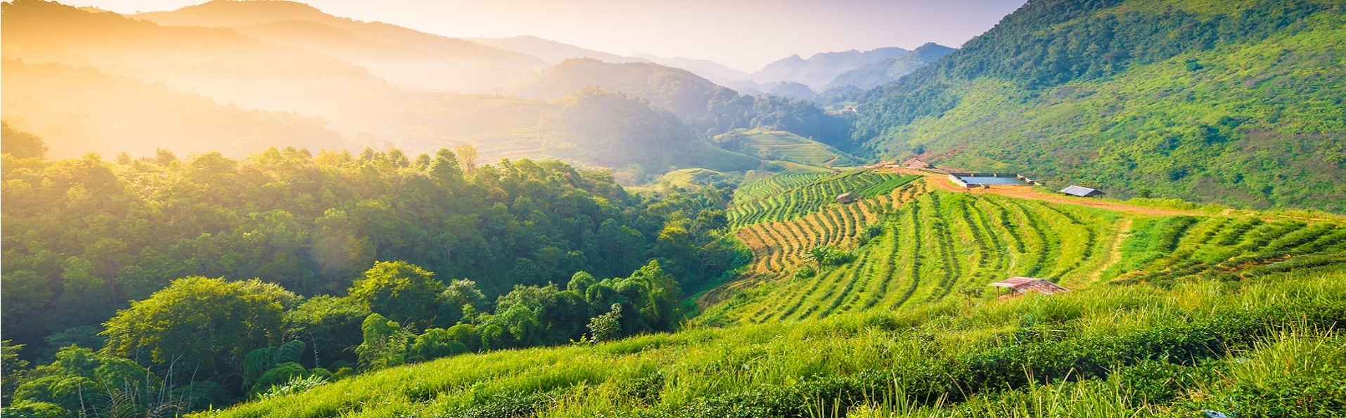 Local travel agency design Luxury private vacation 100% based on your interests