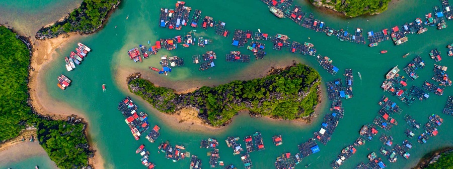 Halong Bay Luxury Cruise for Honeymoon, Best Romantic Vietnam Cruise Experiences for Couples