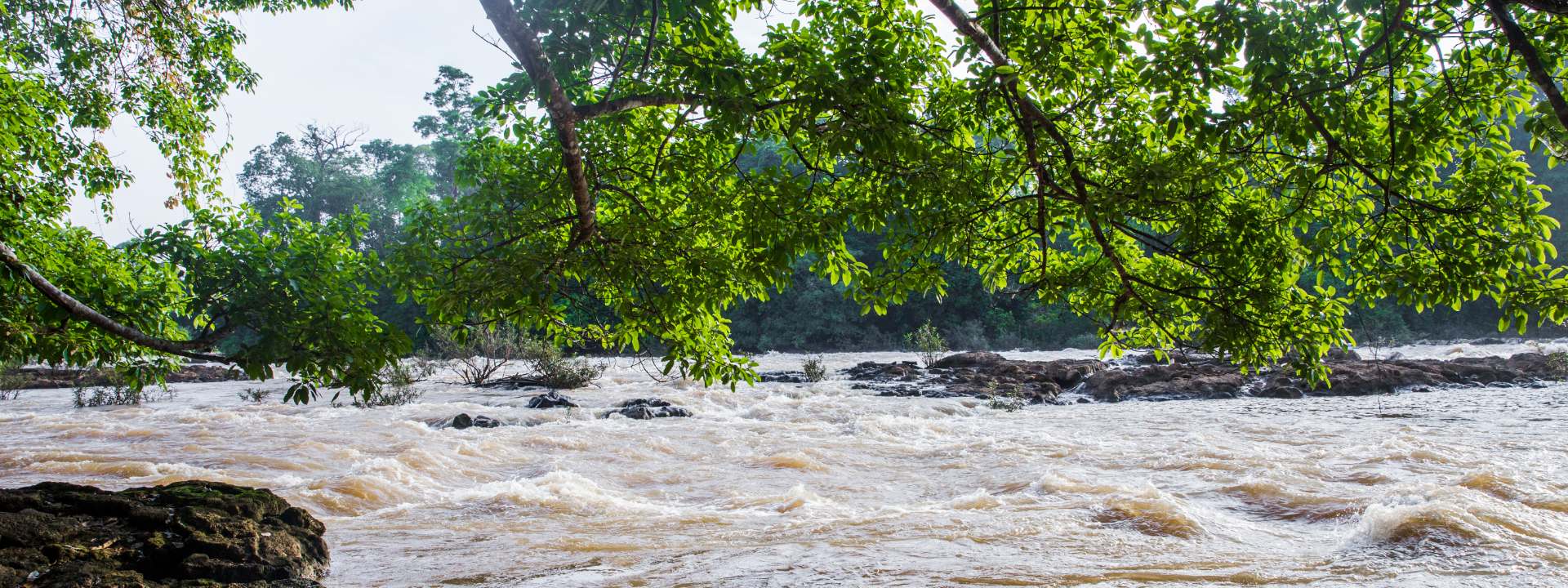 nam-cat-tien-national-park