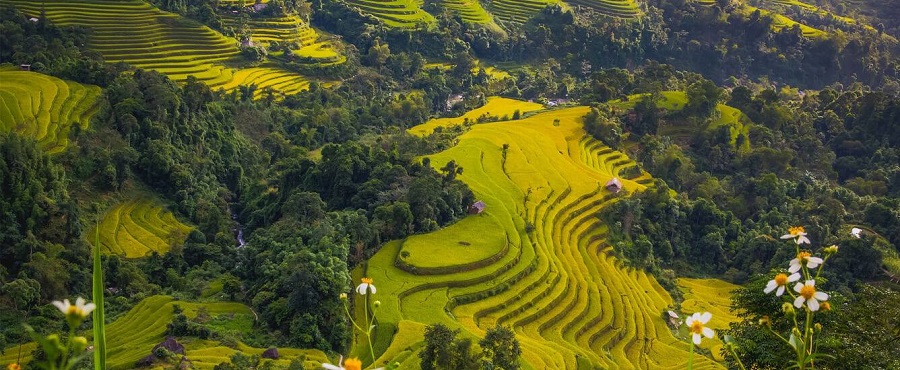 Sapa Luxury Tour Honeymoon, Romantic Mountain Escapes in Northern Vietnam