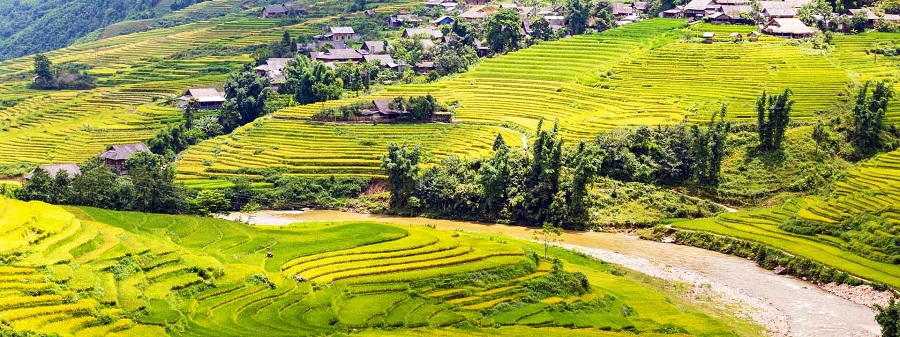 Sapa Luxury Travel Guide, Best Mountain Resorts, Private Trekking & Exclusive Experiences in Northern Vietnam