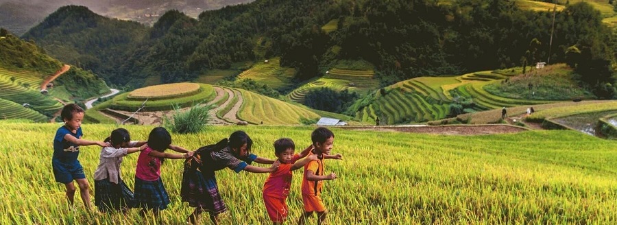 sapa1 sapa1