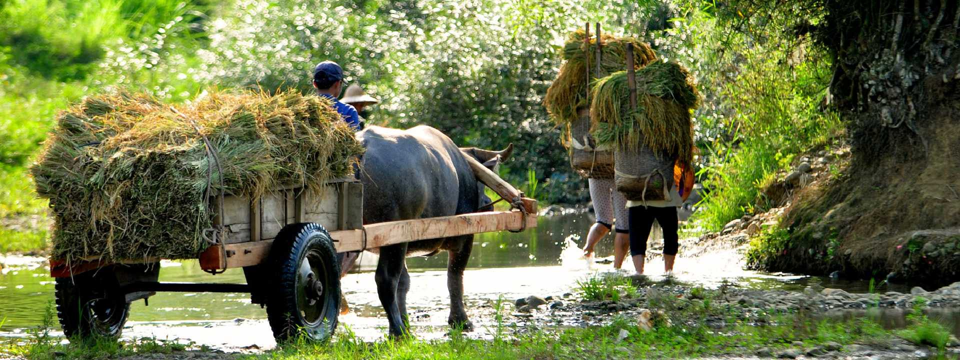 uncovering-northern-vietnam-culture