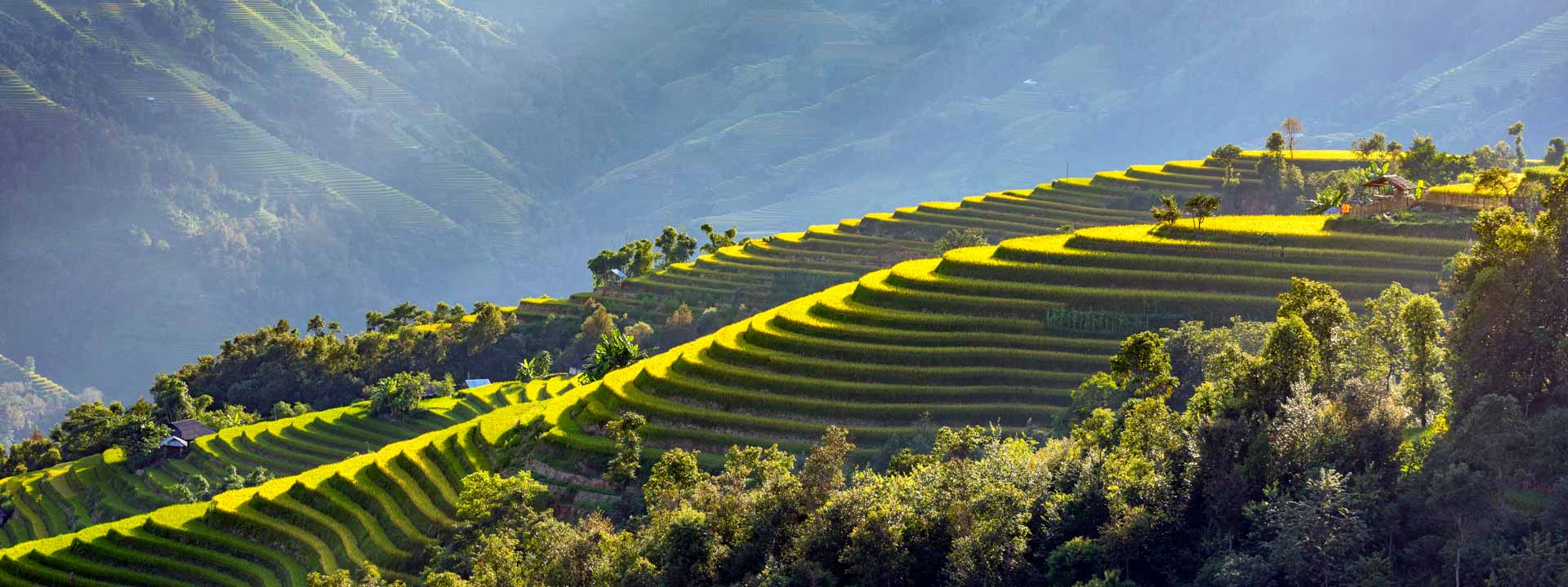 Vietnam Entry Requirements Visa Rules, Passport Validity, E-Visa Guide, Entry Tips and Travel Documents for a Smooth Arrival in Vietnam