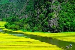 Authentic Vietnam 12 Days Tour Hanoi, Halong Bay, Mai Chau, Hoi An, Hue & Mekong Delta Cultural Journey