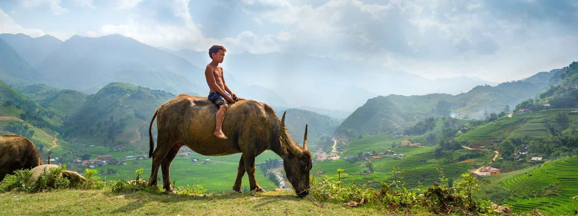Discover Vietnam in 14 days with a complete journey from Hanoi to Ho Chi Minh City