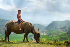 Discover Vietnam in 14 days with a complete journey from Hanoi to Ho Chi Minh City
