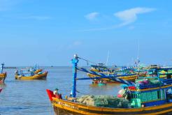 Discover Vietnam in Style 10 Days Luxury Tour from Ho Chi Minh City to Hanoi, Mekong Delta, Nha Trang Beach, Hoi An & Halong Bay Experience