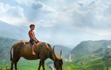Exploring Exotic Vietnam Adventure 15 Days Trekking, Kayaking, Halong Bay Cruise & Cultural Immersion Tour