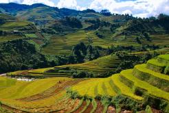 Hanoi - Nghia Lo - Tu Le - Mu Cang Chai Tour 3 days
