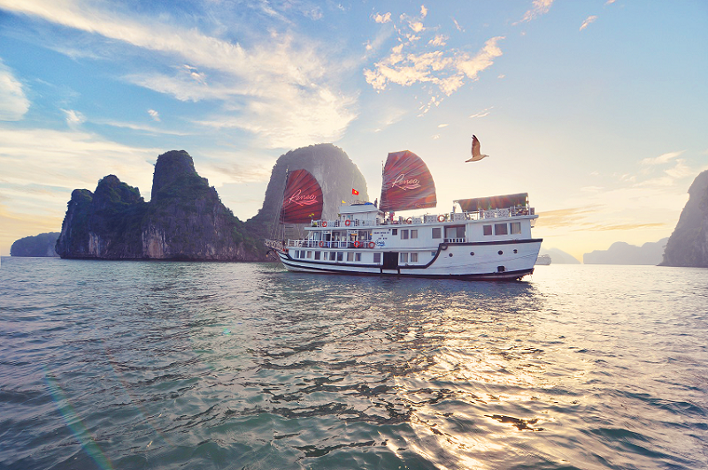 Renea Cruise Halong