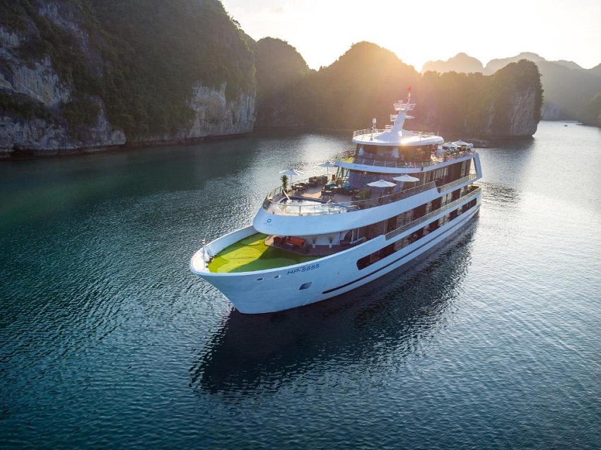 Stellar of the Seas Cruise