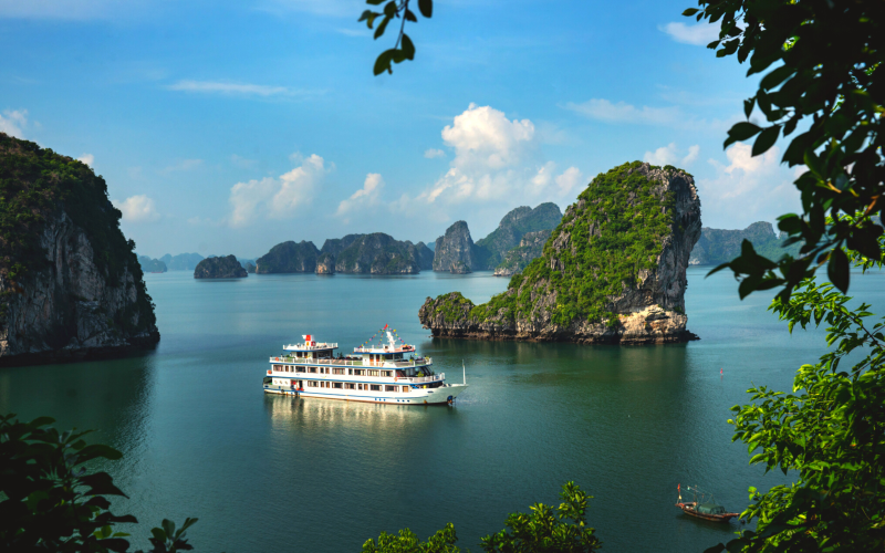 Swan Cruise Halong