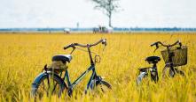 Best Luxury Retreat Resorts in Sapa Top Mountain Escapes for an Exclusive Vietnam Journey