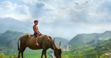 Luxury Trekking Experiences in Sapa, Exclusive Mountain Adventures in Northern Vietnam