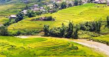 Sapa Luxury Travel Guide, Best Mountain Resorts, Private Trekking & Exclusive Experiences in Northern Vietnam