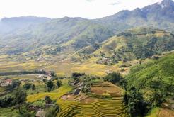 Vietnam Culture Guide Traditions, Etiquette, Food & Local Life for First-Time Visitors (Travel Insights)