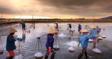 Vietnam Luxury Eco Retreat, Best Sustainable Resorts, Nature Escapes and Eco Luxury Travel Experiences Vietnam Luxury Eco Retreat, Best Sustainable Resorts, Nature Escapes and Eco Luxury Travel Experiences