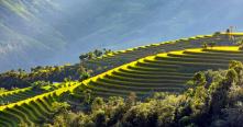 Discover the Hidden Treasures of Vietnam by Road 29 Days