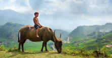 Discover Vietnam in 14 days with a complete journey from Hanoi to Ho Chi Minh City Discover Vietnam in 14 days with a complete journey from Hanoi to Ho Chi Minh City