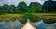 Explore Van Long Nature Reserve Ninh Binh 1 Day