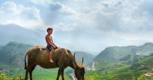 Vietnam Luxury Adventure & Culture 15 Days Trekking, Kayaking, Halong Bay Cruise & Cultural Immersion Tour