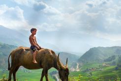 Vietnam Luxury Adventure & Culture 15 Days Trekking, Kayaking, Halong Bay Cruise & Cultural Immersion Tour