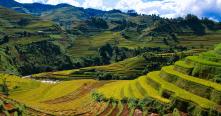Hanoi - Nghia Lo - Tu Le - Mu Cang Chai Tour 3 days Hanoi - Nghia Lo - Tu Le - Mu Cang Chai Tour 3 days