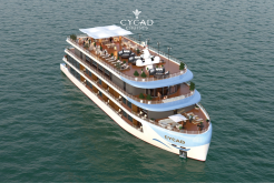 Cycad Cruise Halong