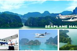 Halong seaplane tour