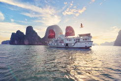 Renea Cruise Halong