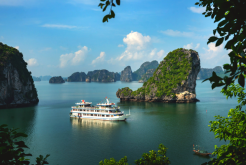 Swan Cruise Halong